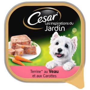 BQ.CESAR VEAU CAROTT.300G